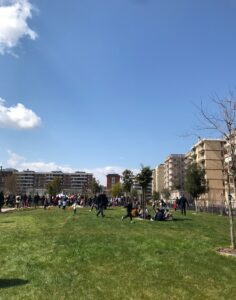 parco rossani Bari, vista del prato e i palazzi sullo sfondo