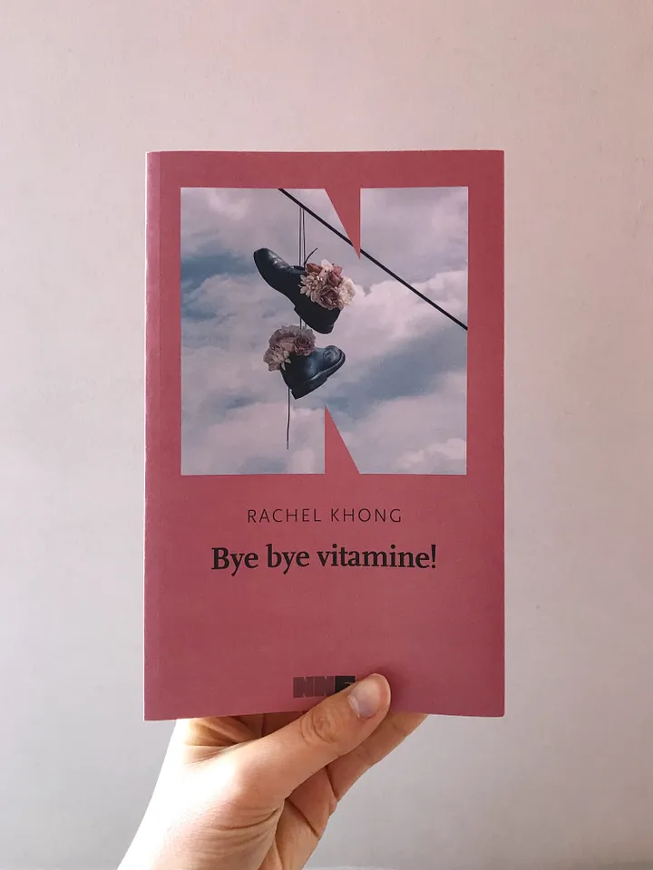 copertina del romanzo Bye Bye vitamine: fondo rosa e in primo piano un paio di scarpe appese a un filo dell'alta tensione, scarpe che contengono fiori rosa.