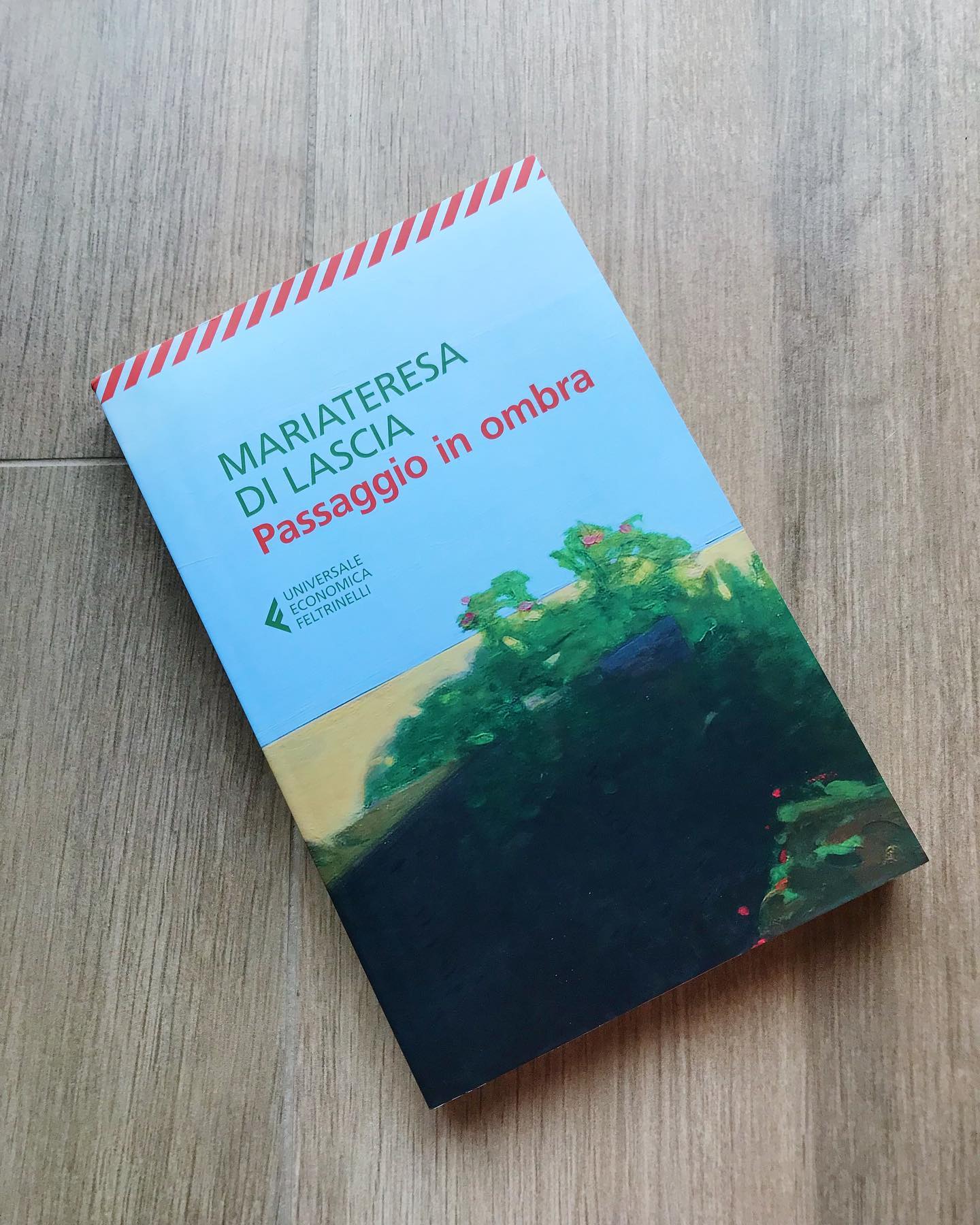 Libro Passaggio in Ombra di Mariateresa DI Lascia. In copertina un paesaggio di vegetazione su fondo blu del cielo.