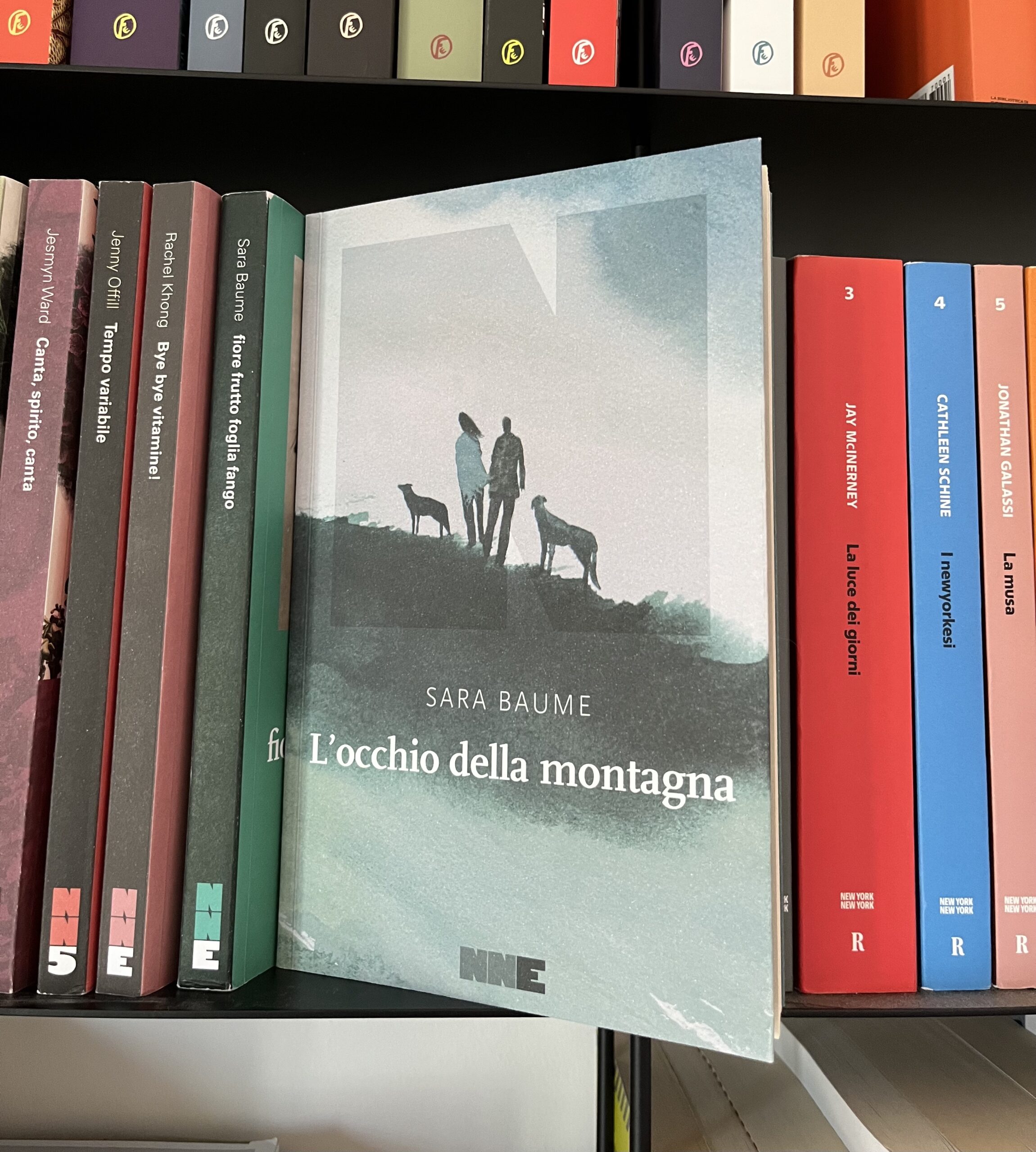 Il libro L'occhio della montagna in una libreria, circondato da altri libri di NN editore.