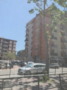 Vista di uan strada di bari dal finestrino di un autobus: una pista ciclabile, auto, due palazzi e un albero