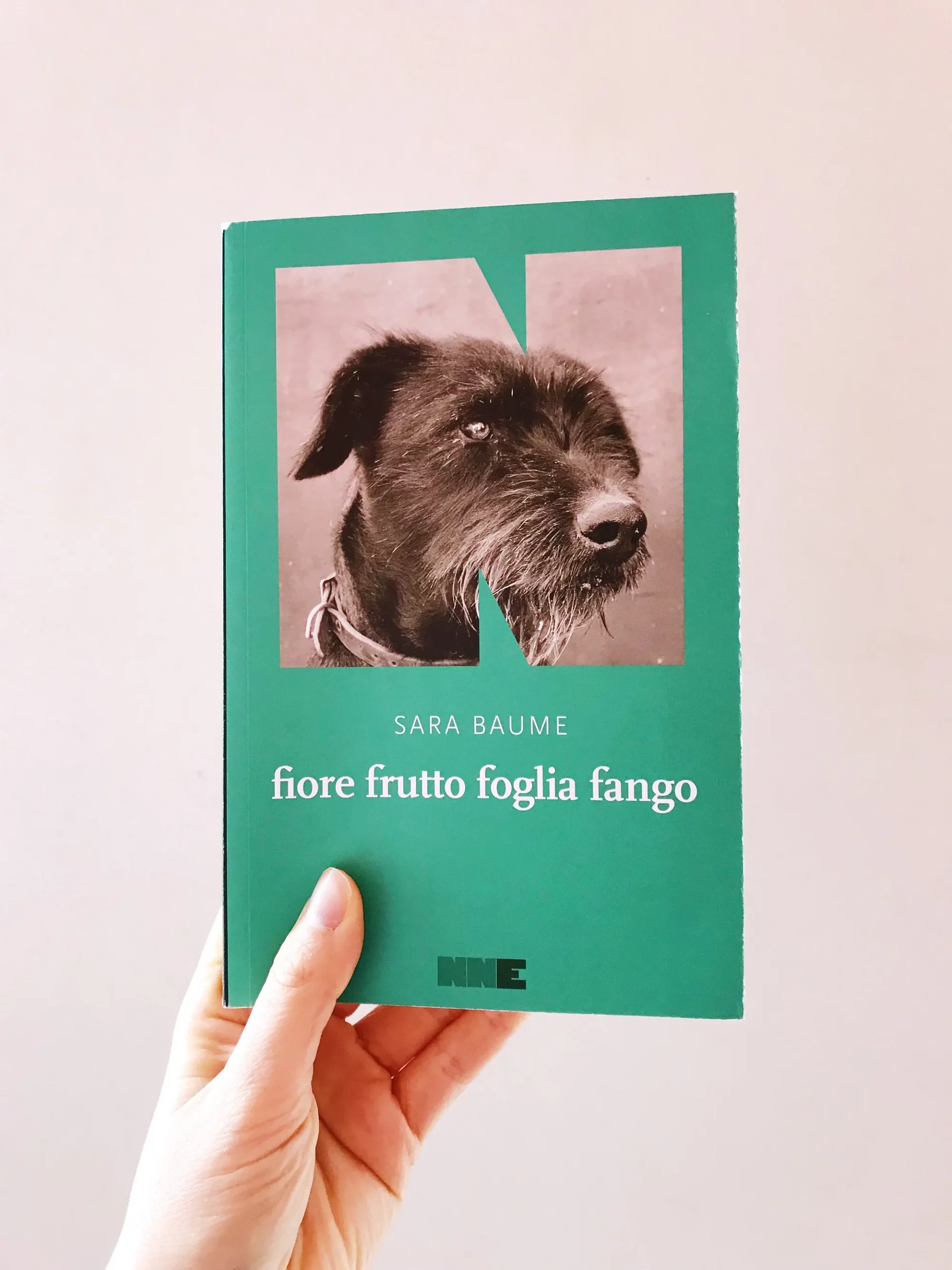 copertina del libro fio re frutto foglia fango con un cane nero di profilo