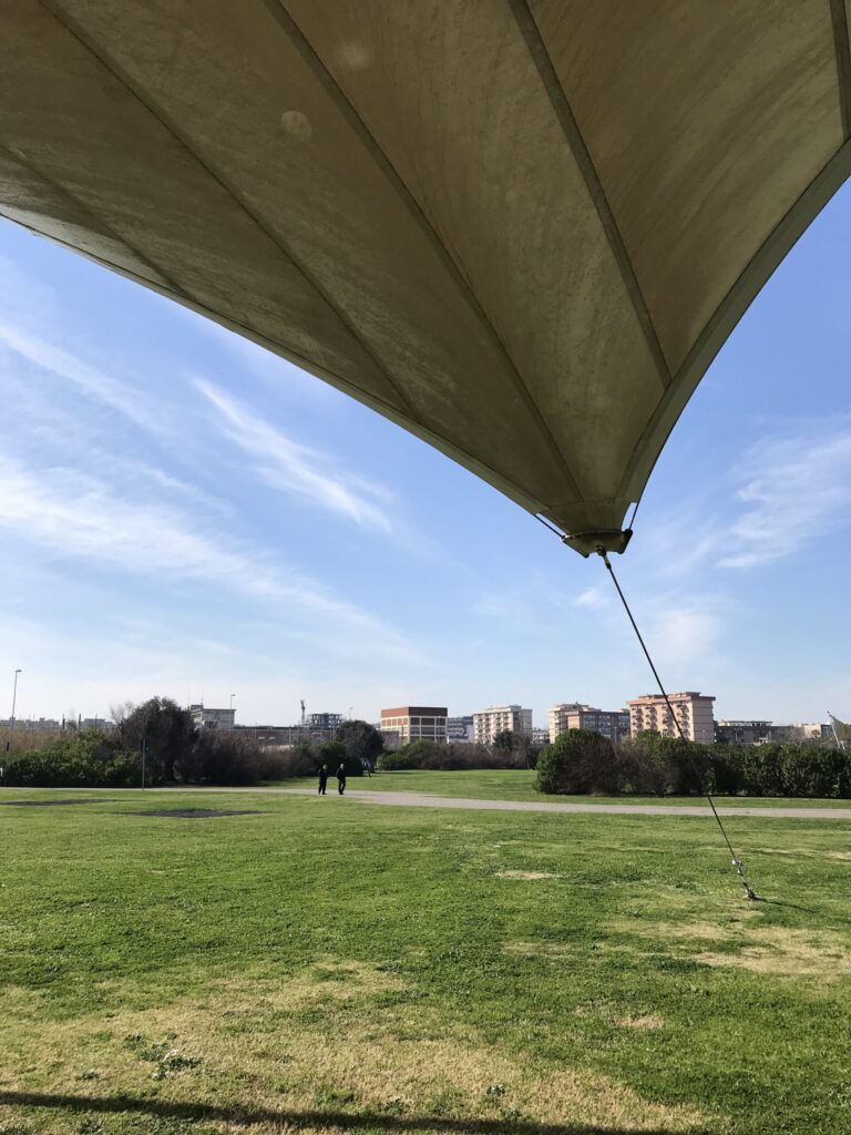 prato verde pieno di sole, in lontananza un uomo e un cane