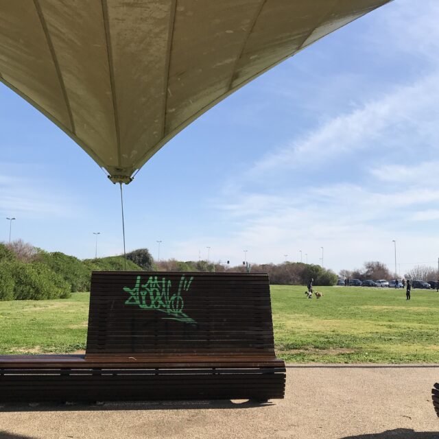 prato verde pieno di sole, una panchina marrone con una scritta spray in primo piano