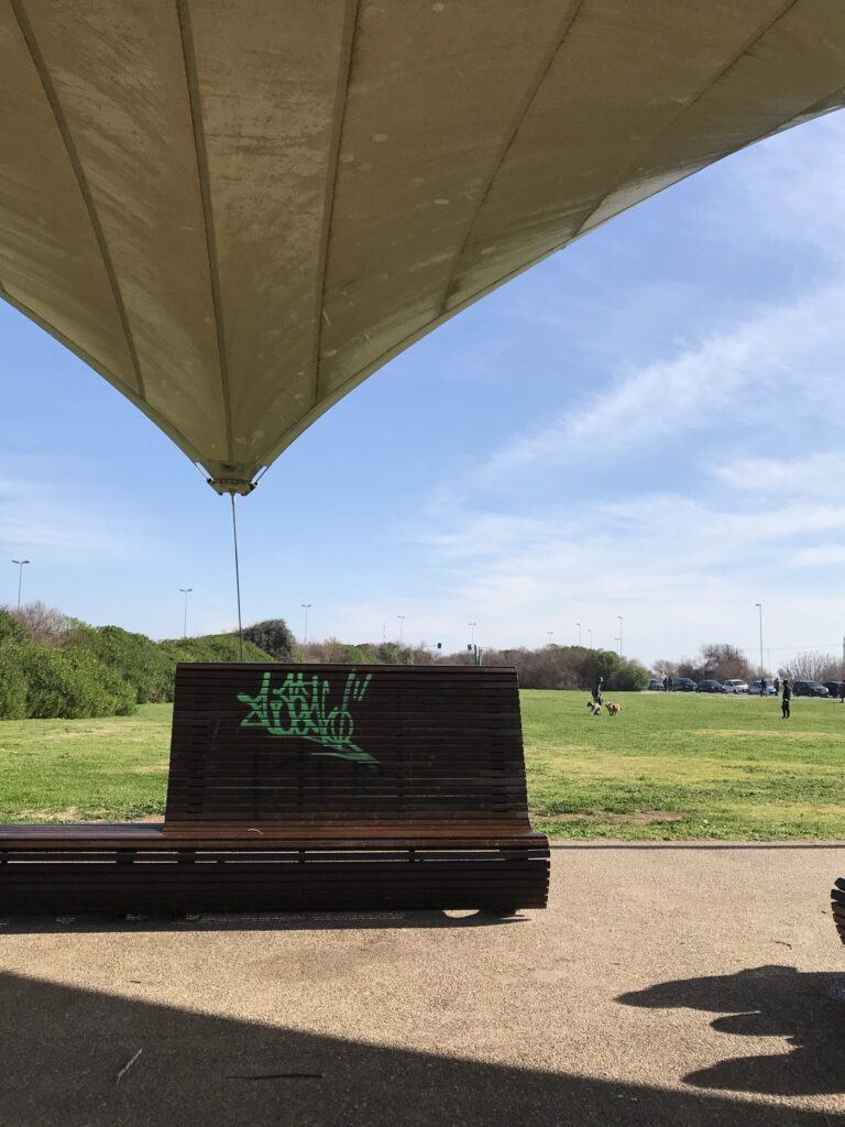 prato verde pieno di sole, una panchina marrone con una scritta spray in primo piano