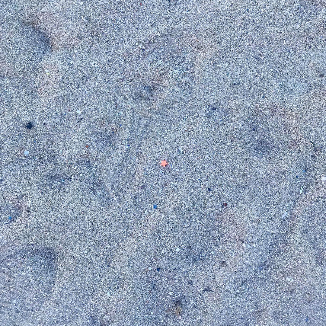 la sabbia della psiaggia di Pane e Pomodoro Bari e una stellina rosa al centro
