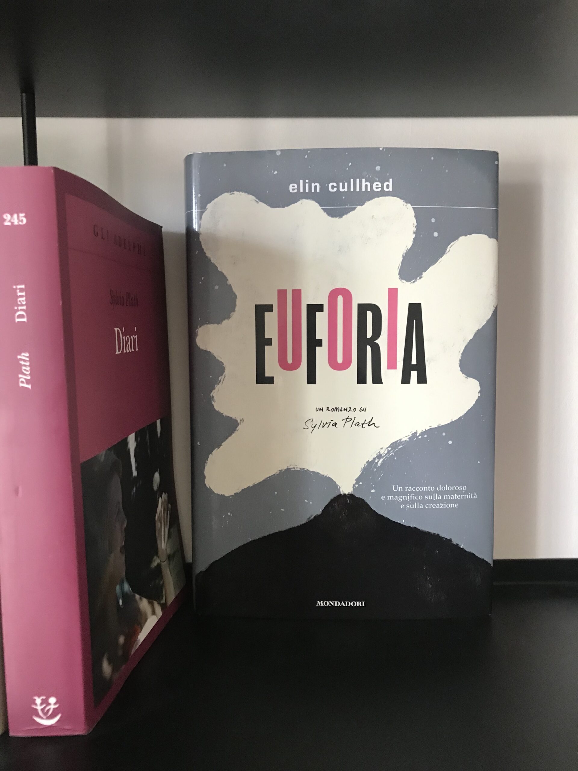 Copertina del romanzo Euforia in una libreria con a fianco i diari di Sylvia Plath.