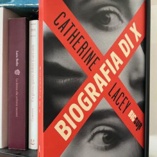 copertina del romanzo biografia di X di Catherine lacey, due occhi di donna di profilo
