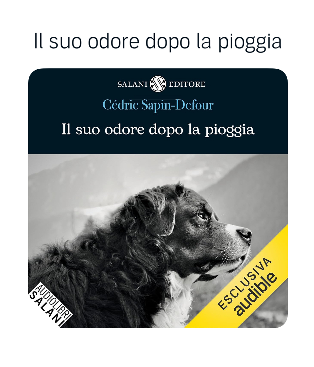 Un profilo di cane bovaro del bernese in bianco e nero sulal copertina del romanzo Il suo odore dopo la pioggia