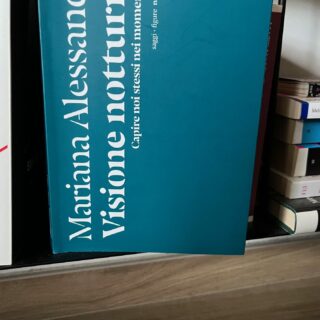 Copertina monocolore del saggio di Mariana Alessandri, Visione notturna, fotografato in una libreria.