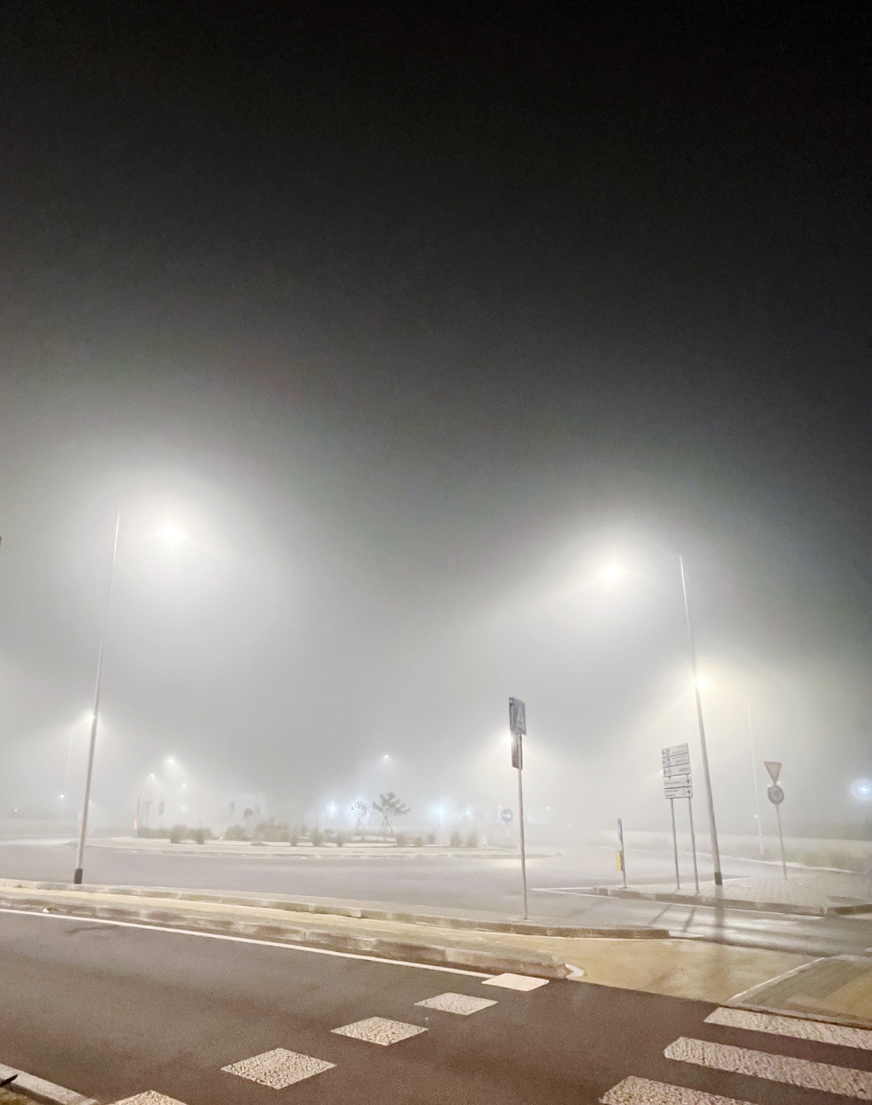 Bari strada con nebbia