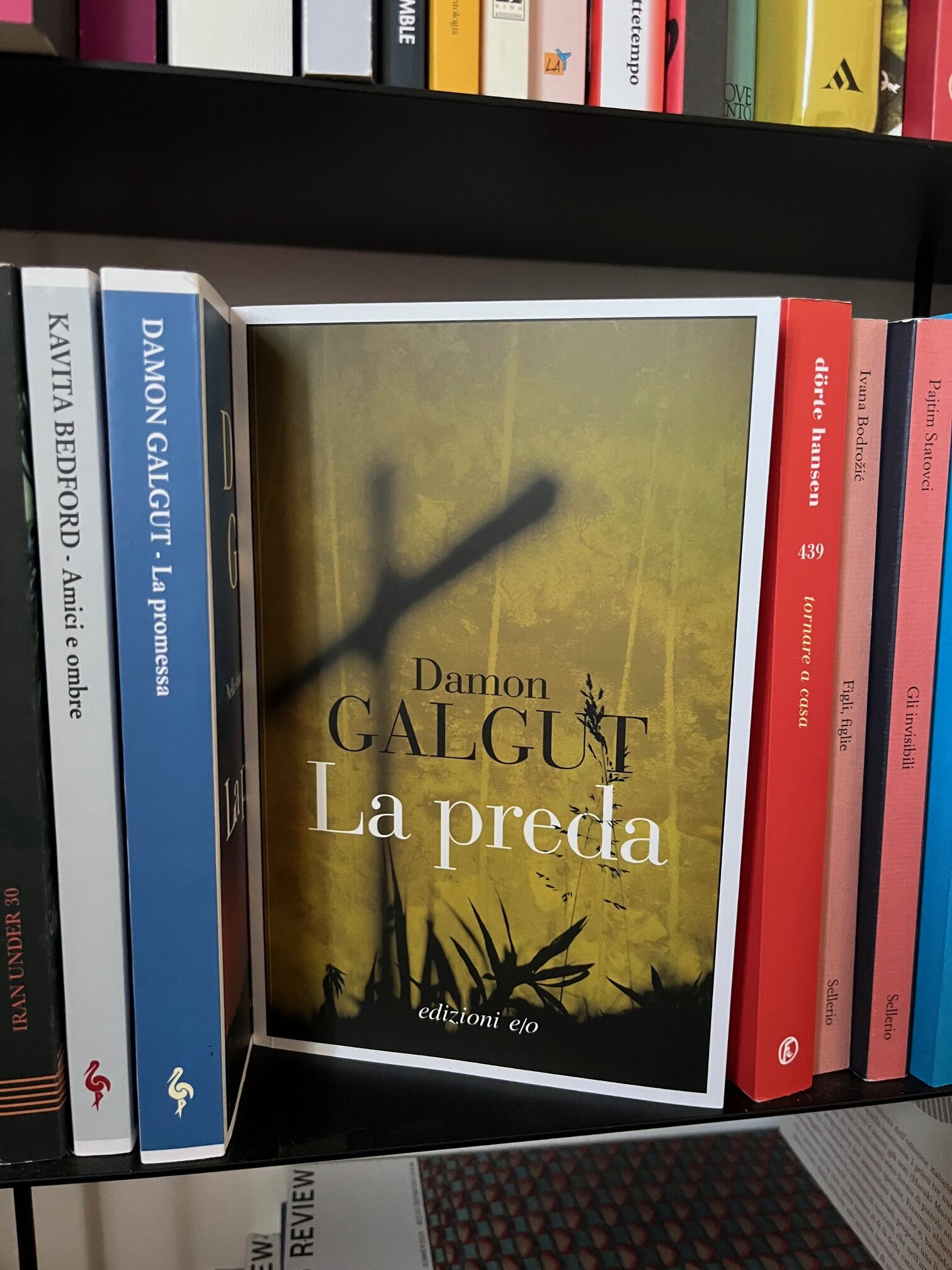 Copertina de La Preda, romanzo di Damon Galgut. un paesaggio oscuro di campagna e una croce in primo piano.