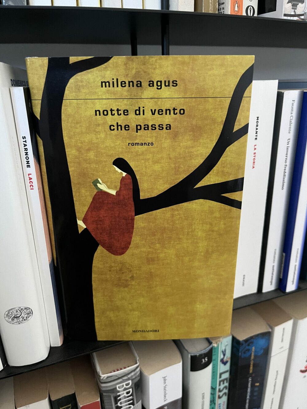 Copertina romanzo Notte di vento che passa di Milena Agus: illustrazione di una ragazza legge un libro seduta sul ramo di un abero